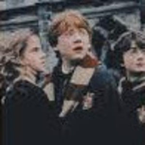 Meet your Posher, Paxton